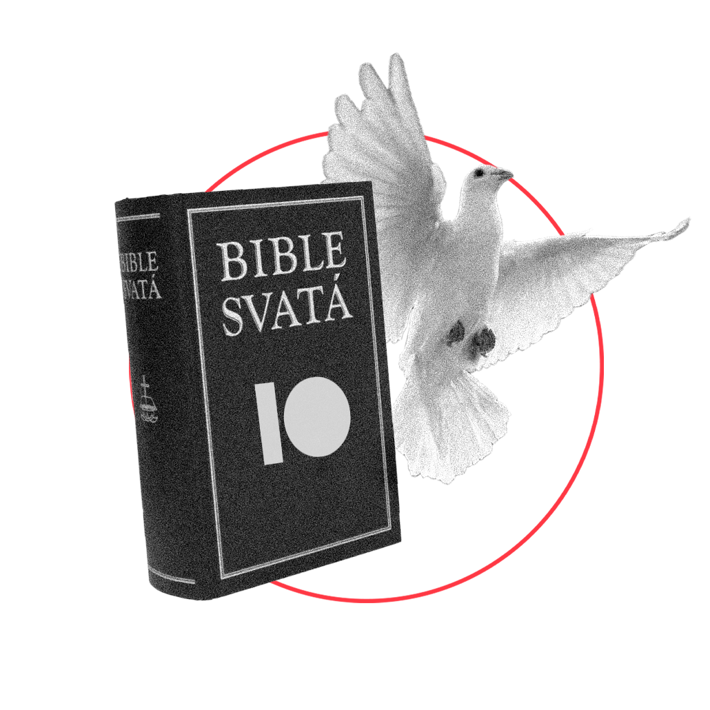Vizuální identita
